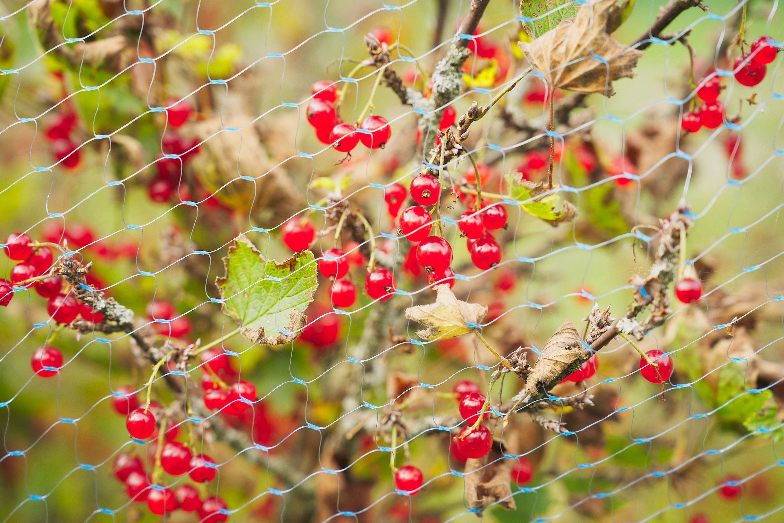 Fjellnettverket Fotos August September 2024 Low Res by Emile Holba 65